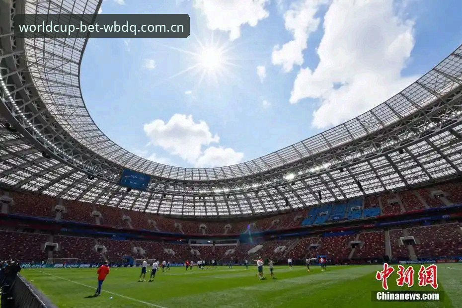 WBDQ苹果版怎么样 世界杯体育官网投注实用指南:WBDQ苹果版深度体验与必备知识