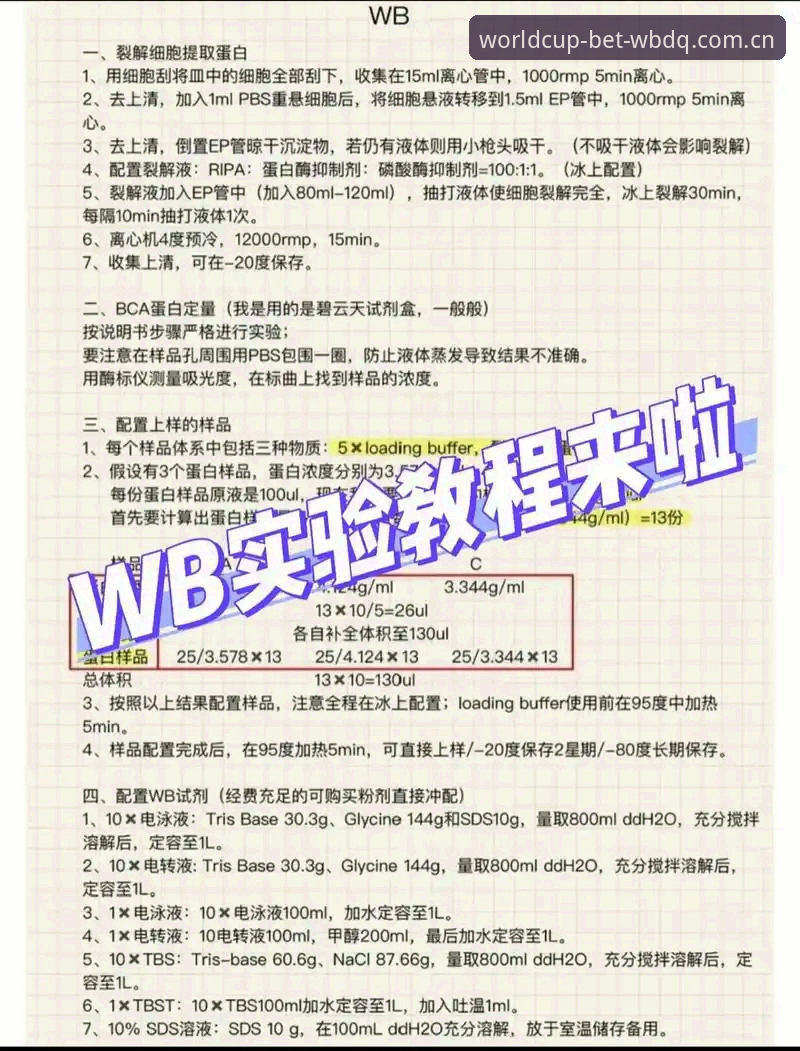WBDQ安卓版安装教程 揭秘WBDQ安卓版安装教程:从下载到投注的完整技术测评